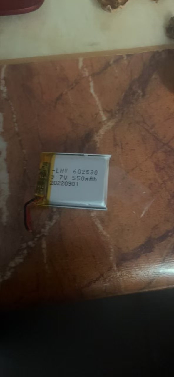 Batteria ai polimeri da 550 mA - Garmin Smartwatch Accessories recensione e prezzo